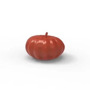 قالب سیلیکونی کدو 2