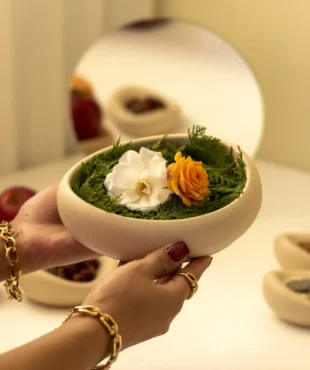 قالب سیلیکونی جا سبزه دفرمه ساخته‌شده توسط مجموعه اهرا دکوراتیو