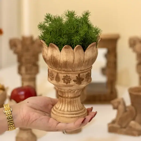 قالب سیلیکونی جاسبزه گلبرگ هخامنشی ساخته‌شده توسط مجموعه اهرا دکوراتیو