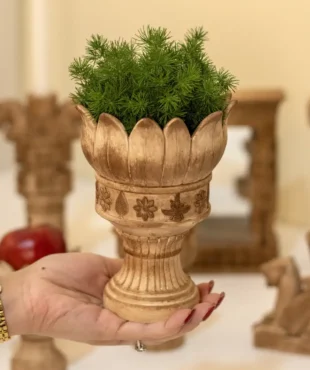 قالب سیلیکونی جاسبزه گلبرگ هخامنشی ساختهشده توسط مجموعه اهرا دکوراتیو