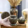خروجی قالب سیلیکونی جاعودی طرح پاییزی انگور و برگ | اهرا
